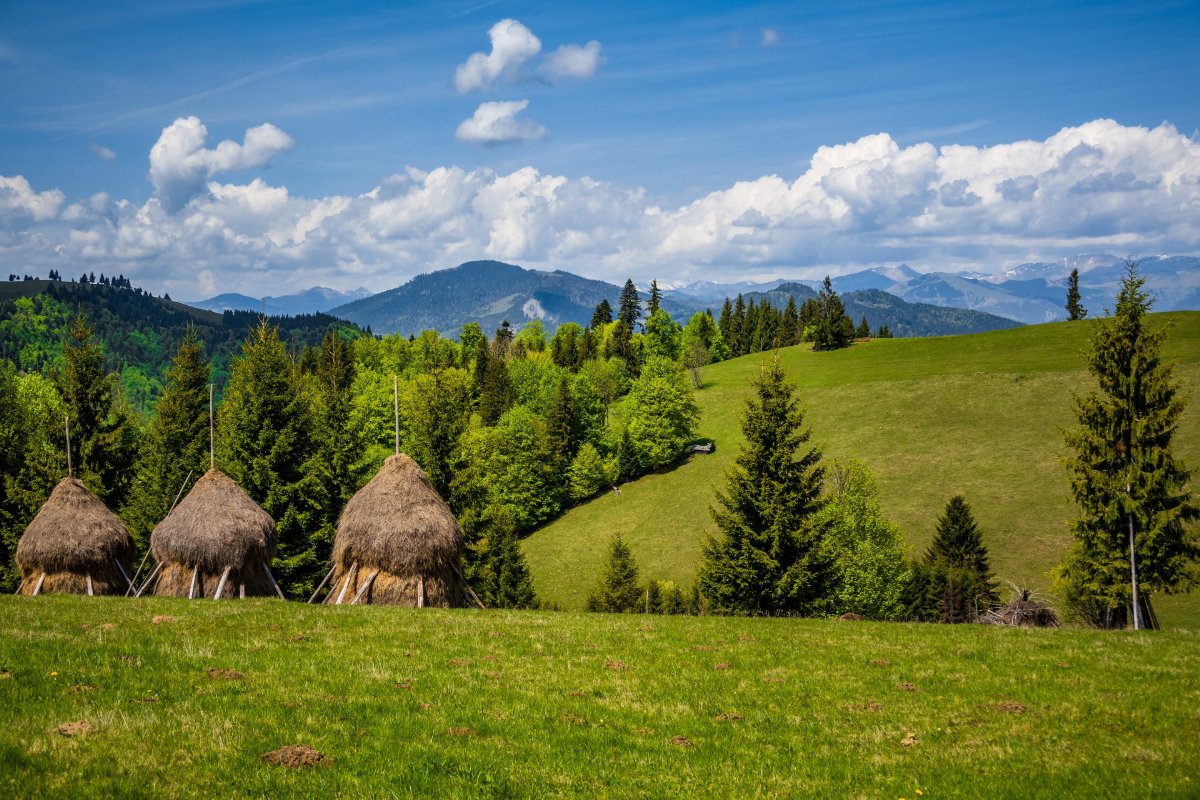 Cea mai subestimată destinație turistică din lume se află în România